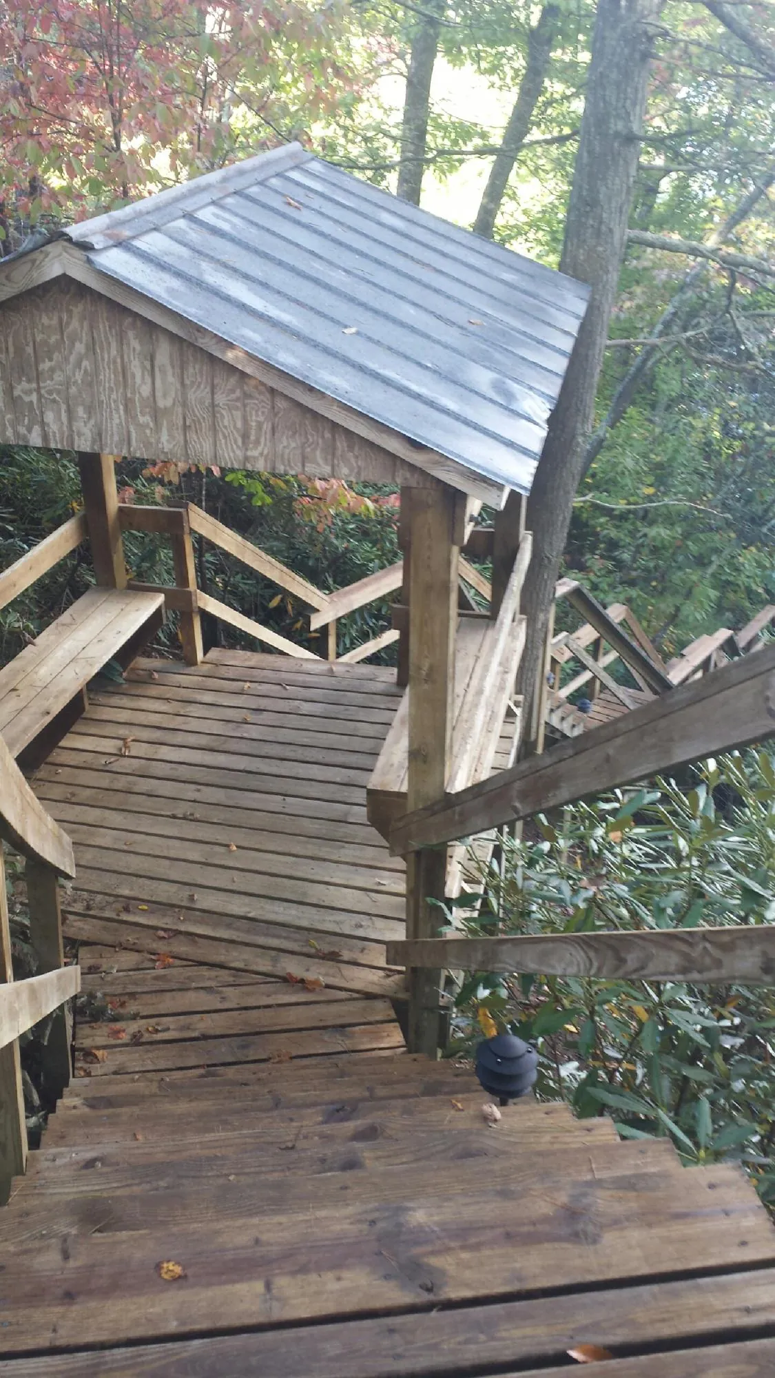 Metal roofed shelter over wooden steps on a wooded walkway — Skylight Repair & Installation work by our crew in Tualatin