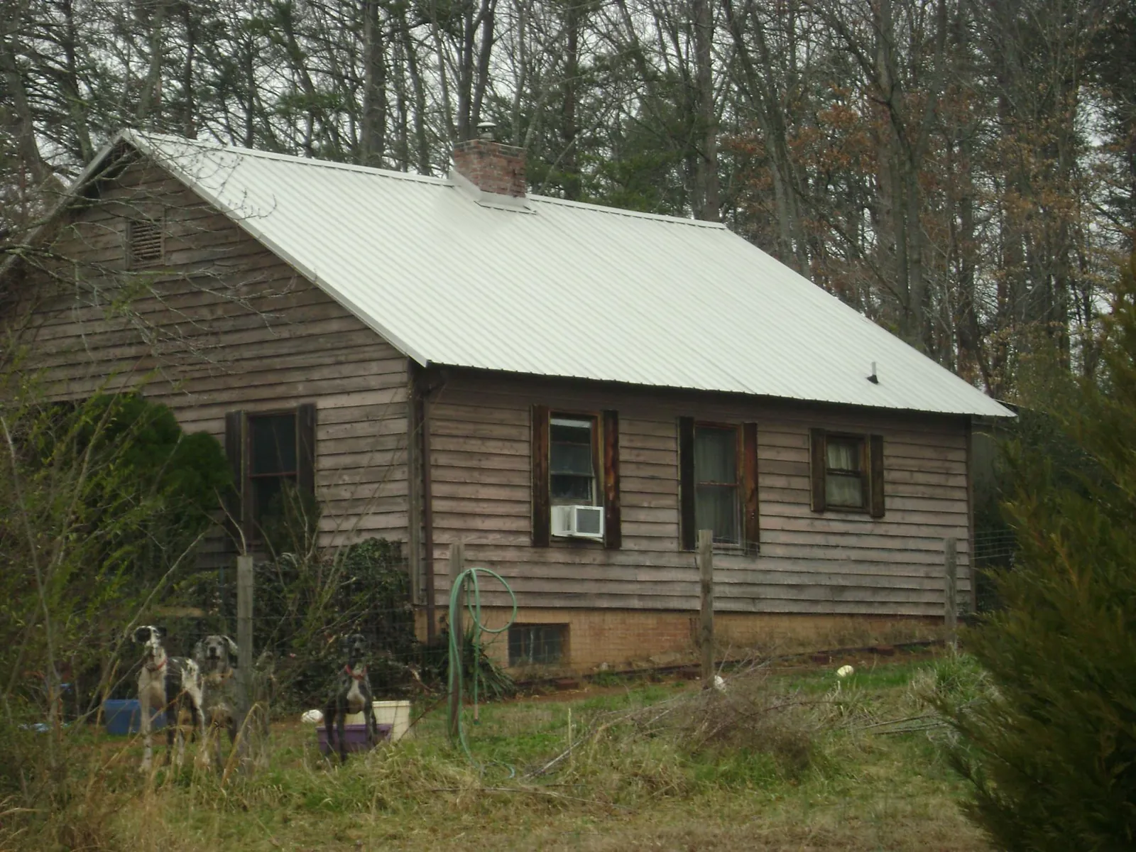 White metal roof on an old wood sided farmhouse, from a Metal Roof Installation job in Tualatin